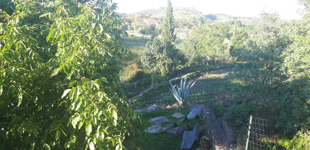 Casa Da Vizinha, Quinta Das Memorias Santo António das Areias Buitenkant foto