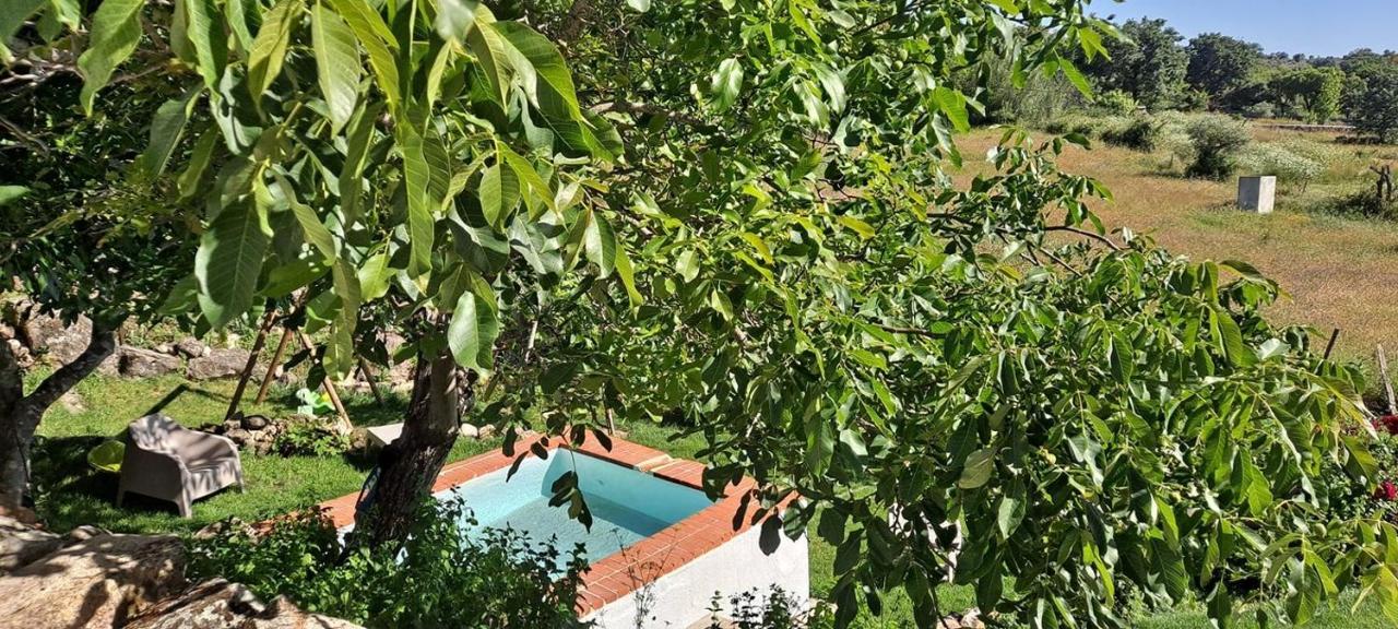 Casa Da Vizinha, Quinta Das Memorias Santo António das Areias Buitenkant foto